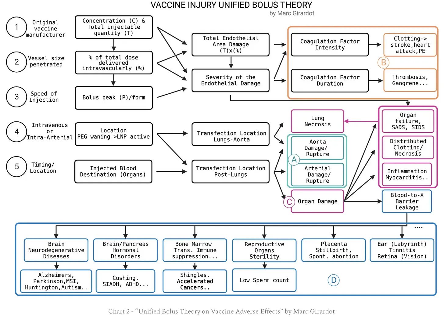 Bolus Theory