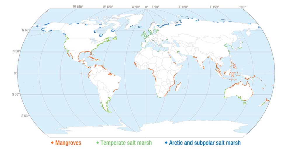 Coastal Wetlands of the World - Figure 1